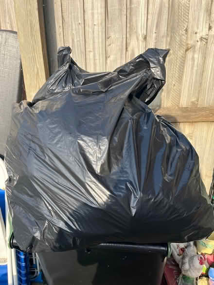 Photo of free Plus size ladies xl upwards (Ipswich IP2) #1