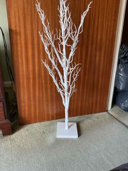 Photo of free Jewellery Tree, Decoration (Ramsgate CT11) #1