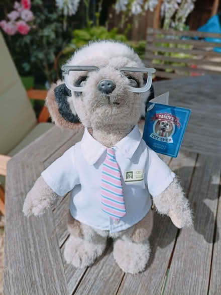 Photo of free Meerkat "Sergei" (Chesham HP5) #1