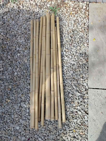 Photo of free Bamboo Poles (Northway OX3) #1
