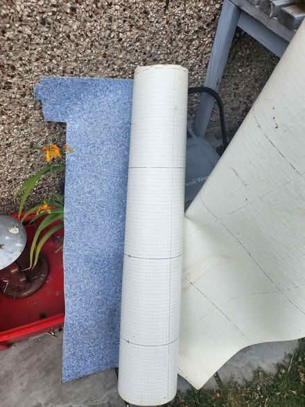 Photo of free Blue vinyl (Drylaw EH4) #2