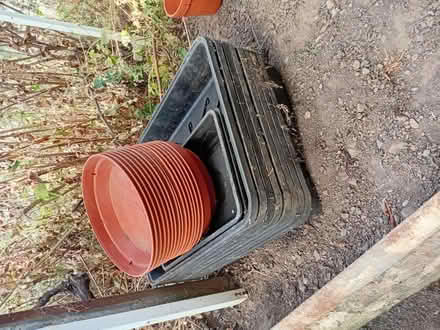 Photo of free Trays (Handsworth S13) #1