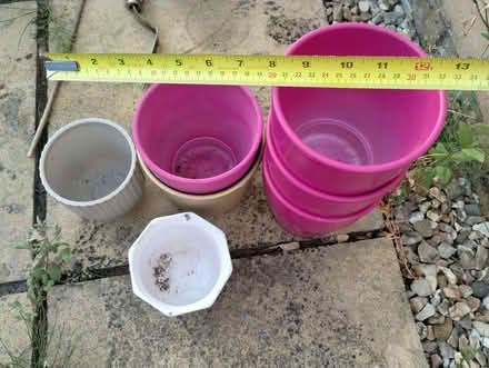 Photo of free Coloured Pots. (Burnham On Sea TA8) #2