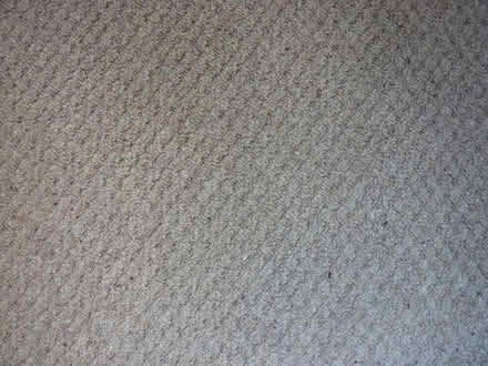 Photo of free Carpet (Pannal HG3) #2