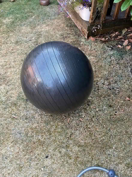 Photo of free Swiss ball (Duffield DE56) #1