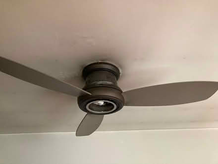 Photo of free ceiling fan (Brookland) #1