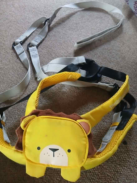 Photo of free Baby/toddler reins (West Hill TN34) #1