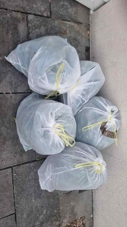 Photo of free Bags of Fresh Hedge Trimmings/Garden Waste (Stoke Park BS16) #2