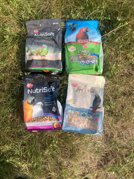 Photo of free Slightly Expired Parrot Food (Ypsilanti Township) #1