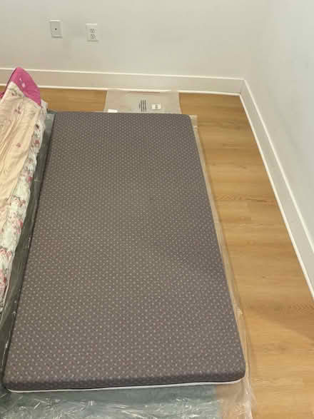 Photo of free Twin Mattress (Fleet street (Fells Point)) #1
