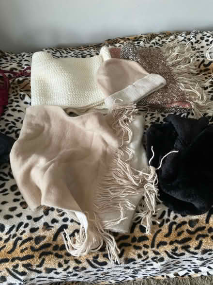 Photo of free Mixture of scarves and hat (TW14 bedfont) #2
