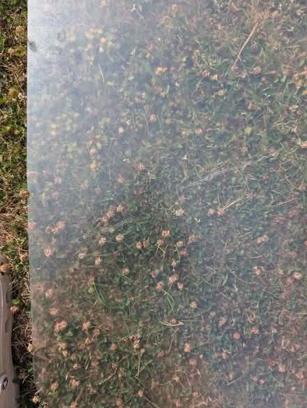 Photo of free IKEA floor protector (Llandrindod LD1) #2