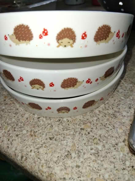 Photo of free Pet bowls (Tonbridge) #2