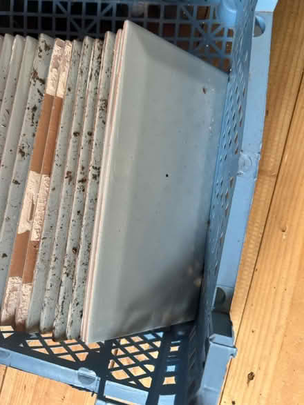 Photo of free Light blue metro tiles (Little Baddow CM3) #1