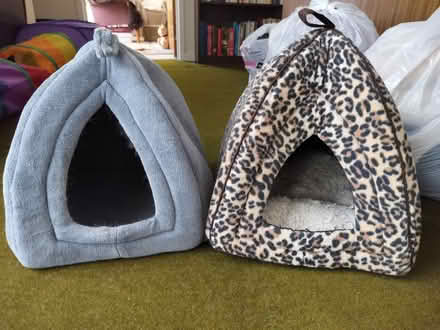 Photo of free Cat Beds (High Shincliffe DH1) #1