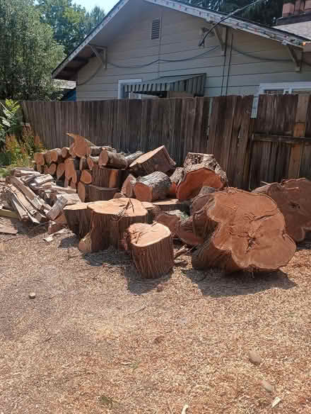 Photo of free cedar wood, cedar firewood (SouthWest Portland, Tigard) #2