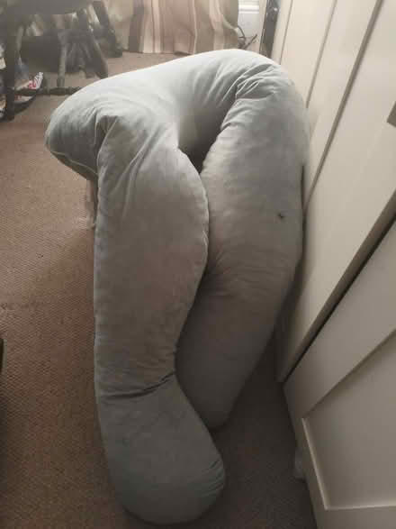 Photo of free Pregnancy pillow (Kingswood BS5) #1