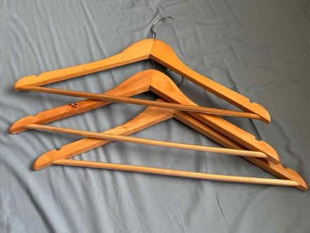 Photo of free Coat hangers (Downswood ME15) #2
