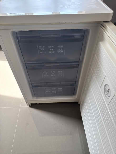 Photo of free Bosch freezer (Warnham) #2