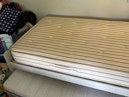Photo of free Trundle bed (Brassington DE4) #1