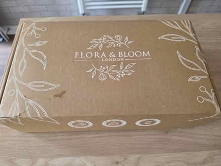 Photo of free Confetti cones and stand (Malvern Link WR14) #3