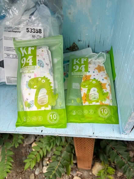 Photo of free N95 and N94 mask (Ballard) #2