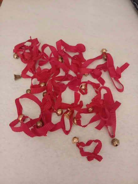 Photo of free Bunny Bows (Frimley Ward GU16) #1