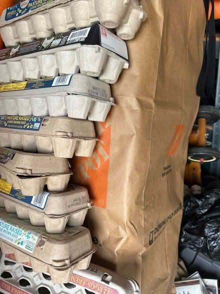 Photo of free Egg cartons (North Brunswick) #1