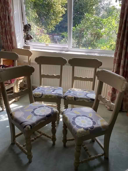 Photo of free 4 wooden painted dining chairs (Chichester PO19) #1