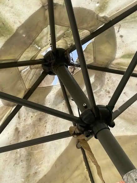 Photo of free Patio umbrella (Summertown OX2) #2