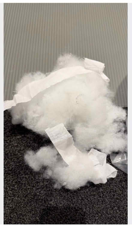 Photo of free hollowfibre stuffing (Northfield EH8) #2
