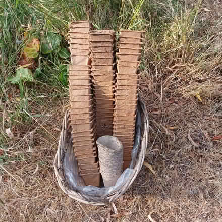 Photo of free compostable mini-plant pots (Binsey OX2) #1