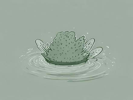 Photo of pond algae remover (Little Welland WR13) #1