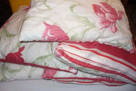 Photo of free 5 floral/striped cushions (Far Bletchley MK3) #1