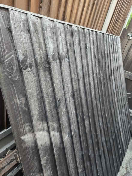 Photo of free Fence panel (Bexleyheath DA6) #1