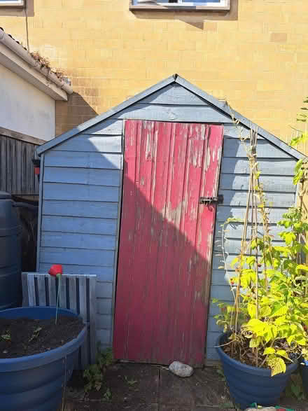Photo of free Garden Shed (Weston Bath BA1) #3