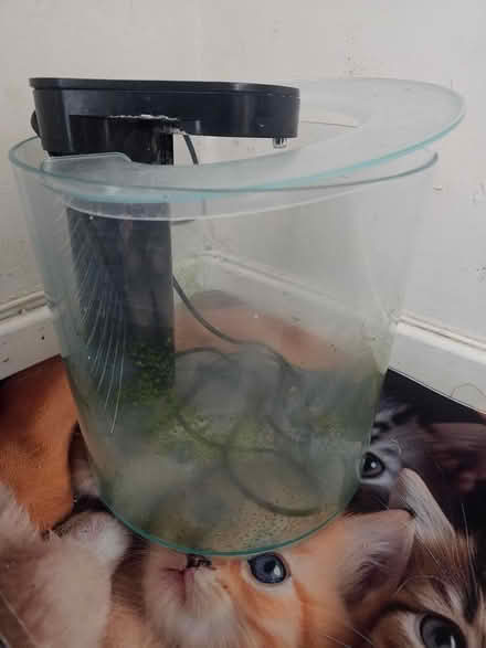 Photo of free Small fish tank (Devizes SN105SA) #1