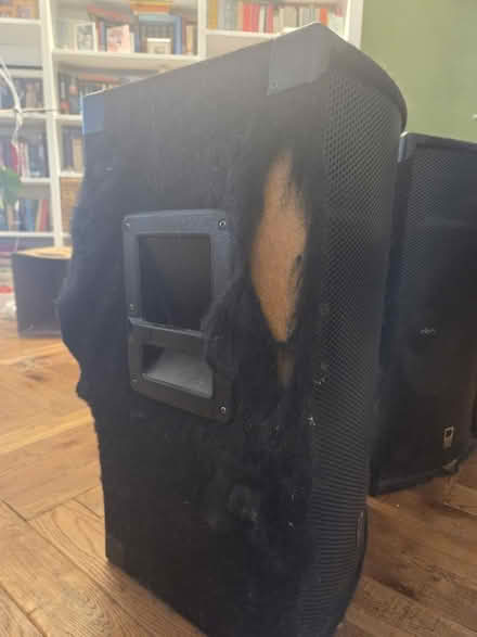 Photo of free 2x Class-d Speakers (Prestwich M25) #3