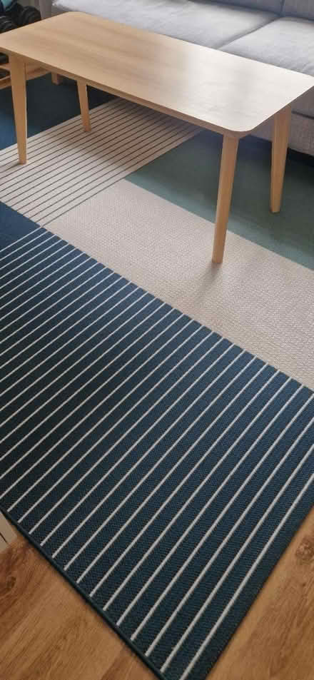Photo of free Ikea roskilde carpet (Shoreham by Sea BN43) #2