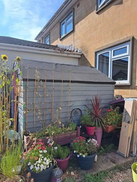 Photo of free Garden Shed (Weston Bath BA1) #2