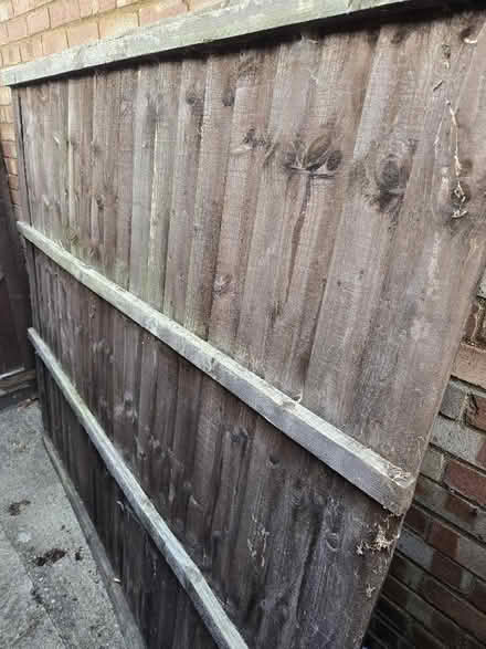 Photo of free Fence panel (Bexleyheath DA6) #2