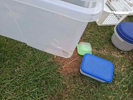 Photo of free Plastic Storage Boxes With Lids (Kimblesworth DH2) #2