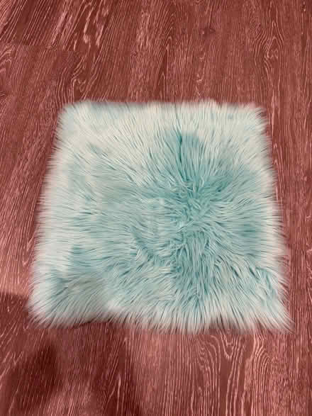Photo of free Faux Sheepskin Rug (Coolidge Corner, Brookline) #1