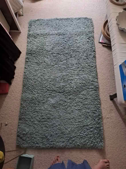 Photo of free Duck egg blue rug (Luton LU4) #1
