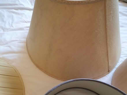 Photo of free Old Lampshades (RG23 Winklebury) #4