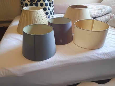 Photo of free Old Lampshades (RG23 Winklebury) #1