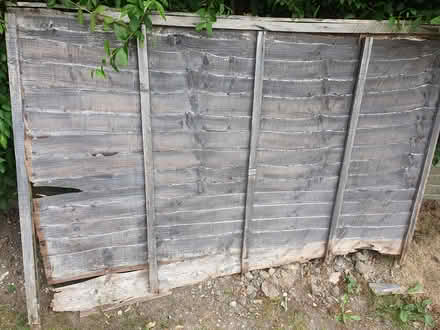 Photo of free 6 x 4ft fence panel (Heysham LA3) #1