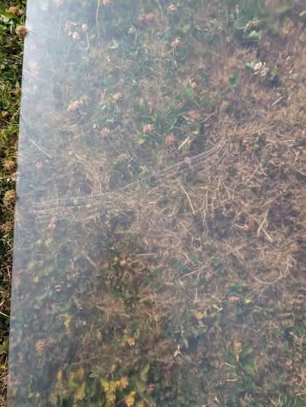 Photo of free IKEA floor protector (Llandrindod LD1) #1