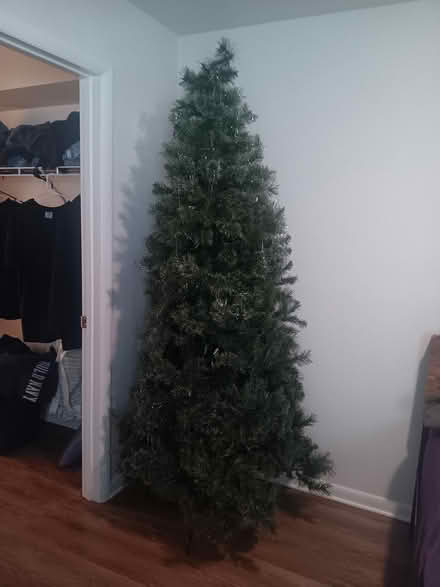Photo of free 7 ft Christmas tree (Lynchburg. Long meadows drive) #1