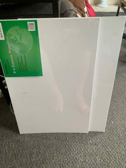 Photo of free 2 x canvas panels (Paulsgrove PO6) #2
